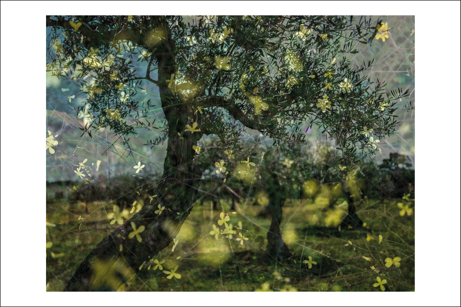 Postcard Cosmin Bumbuț 12